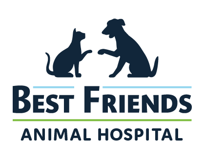 best friends veterinary hospital powell ohio - Staci Canfield