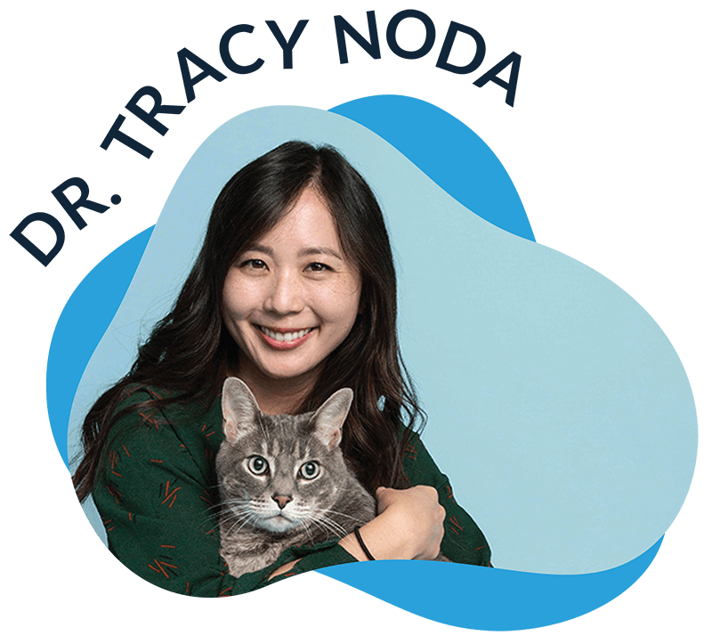 Dr. Tracy Noda