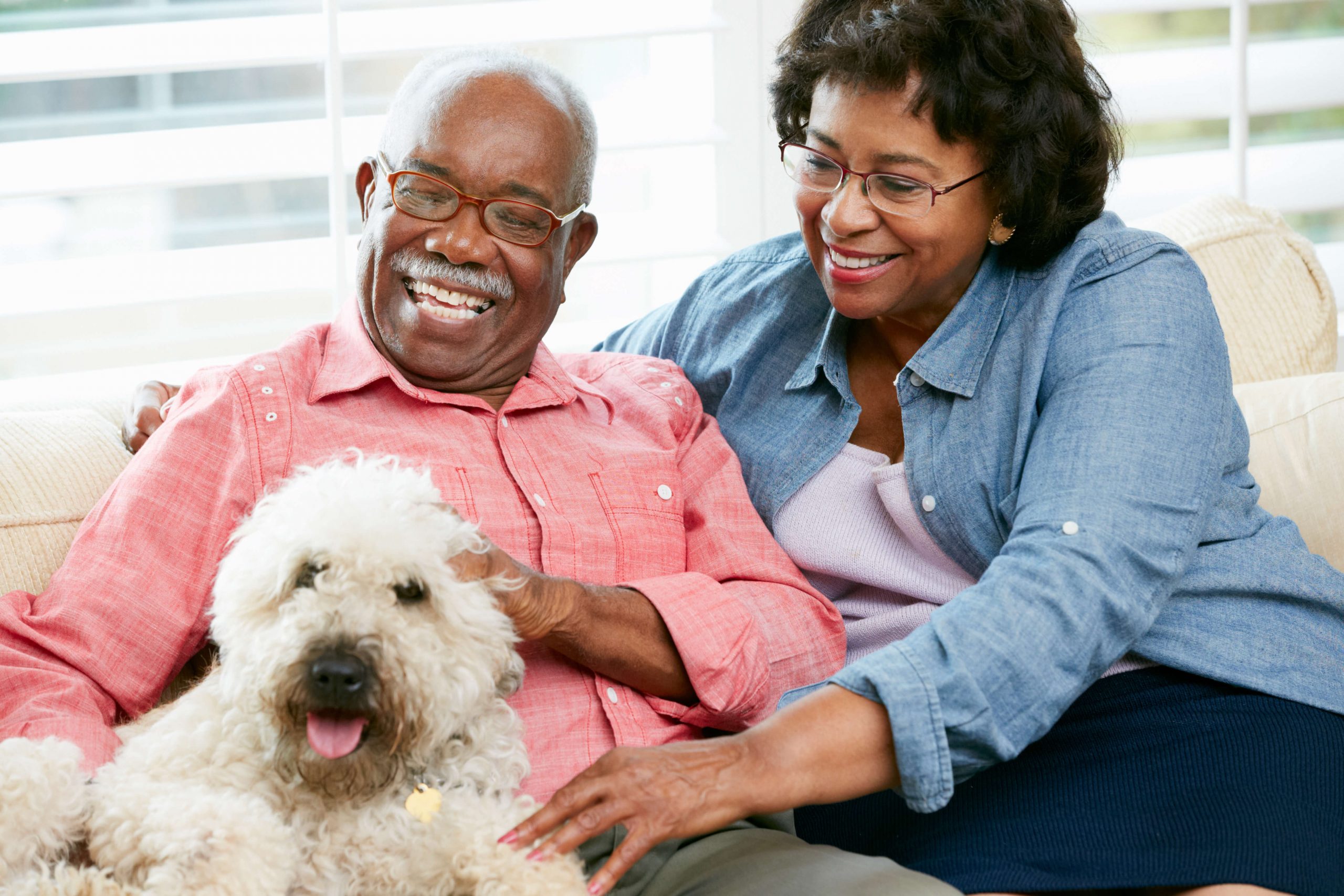 About Our Hospital - Best Friends Animal Hospital Valley Village, CA