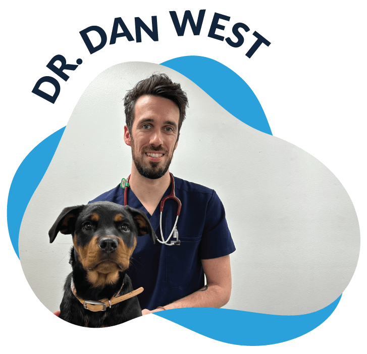 Dr. Dan West