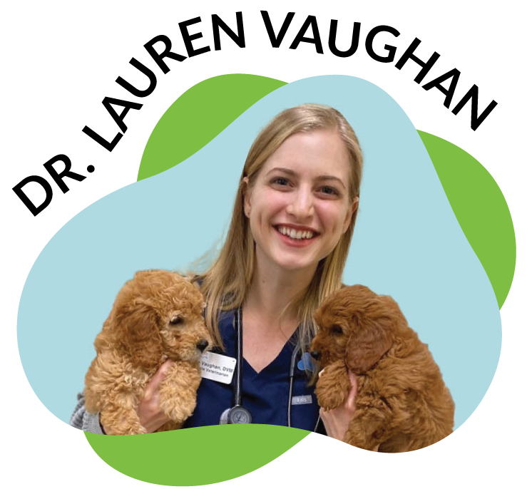 Dr. Lauren Vaughan