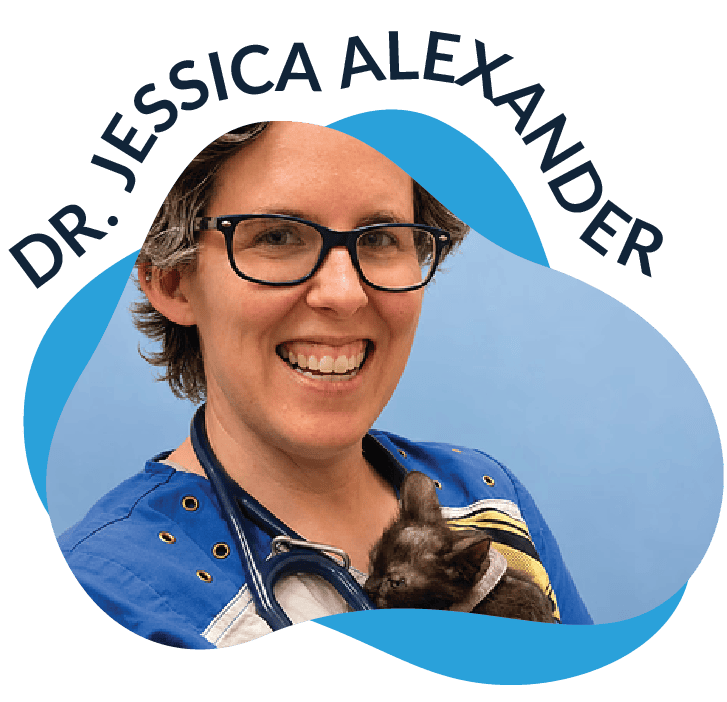 Dr. Jessica Alexander